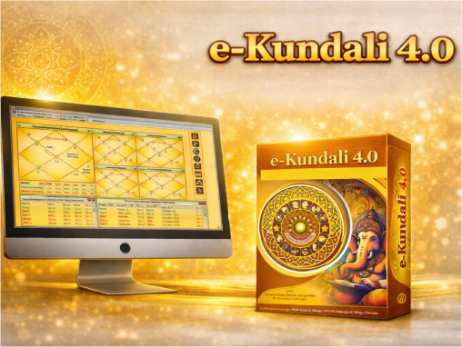 E-Kundali 4 Professional product image