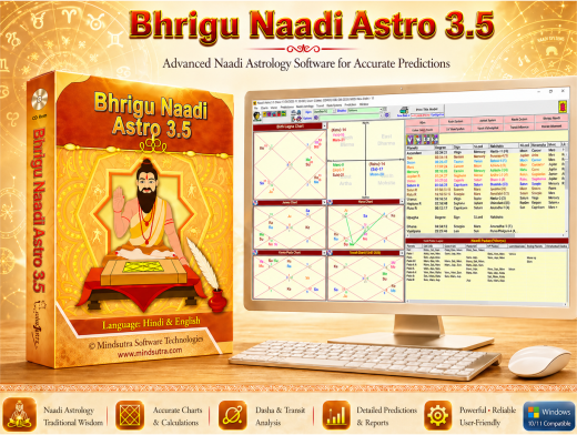 Bhrigu Naadi Astro main software screen