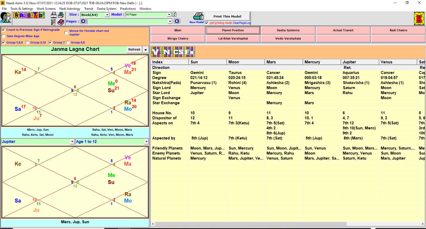 Bhrigu Naadi screenshot 7