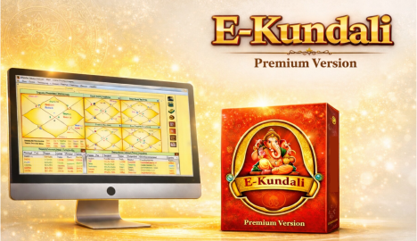 E-Kundali Premium 6.0 product image