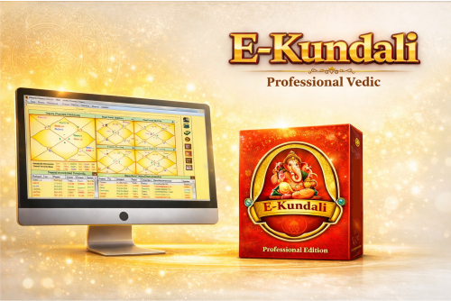 E-Kundali Professional 6.0 product image