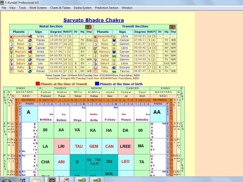 Detailed Astrological Screen of E-Kundali Professional 6.0